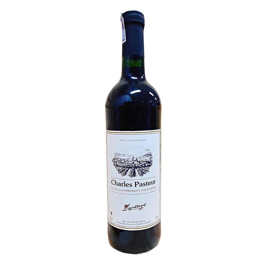 Charles Pasteur Bordeaux