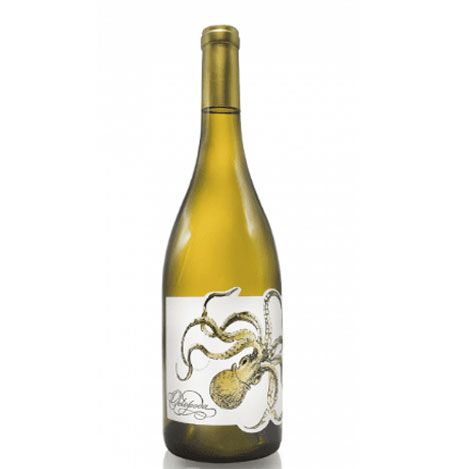 Dailywine - Octopoda Chardonnay 2017