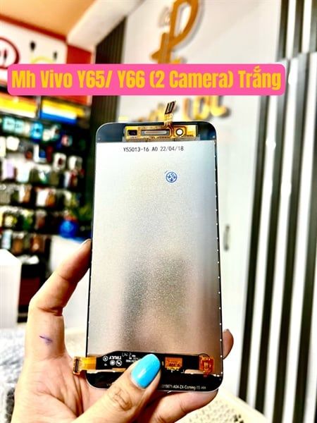 Màn Hình Vivo Y65/ Y66 (2 Camera) Trắng