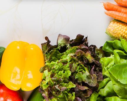 MEAL PLAN - THỰC ĐƠN GIẢM MỠ BỤNG & GIẢM CÂN