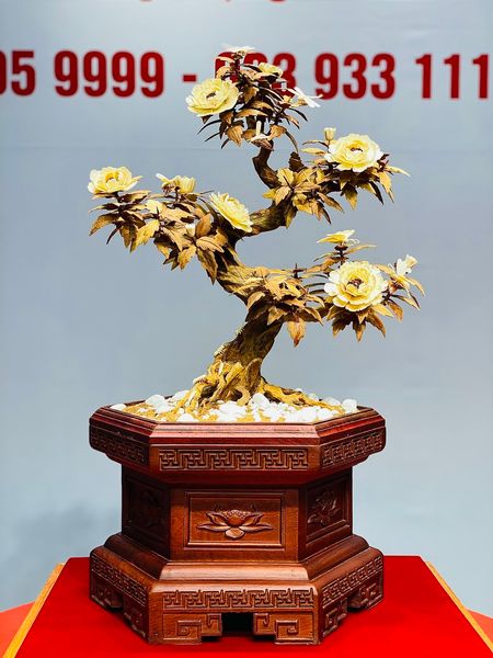 Bonsai Hoa Phù Dung Ngà Voi Gỗ Hoàng Đàn