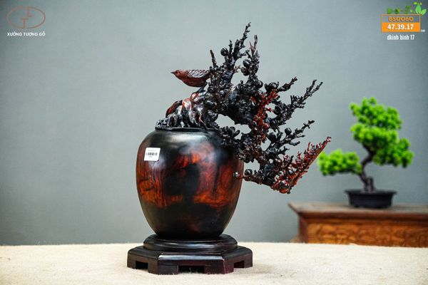 bonsai đào gỗ trắc