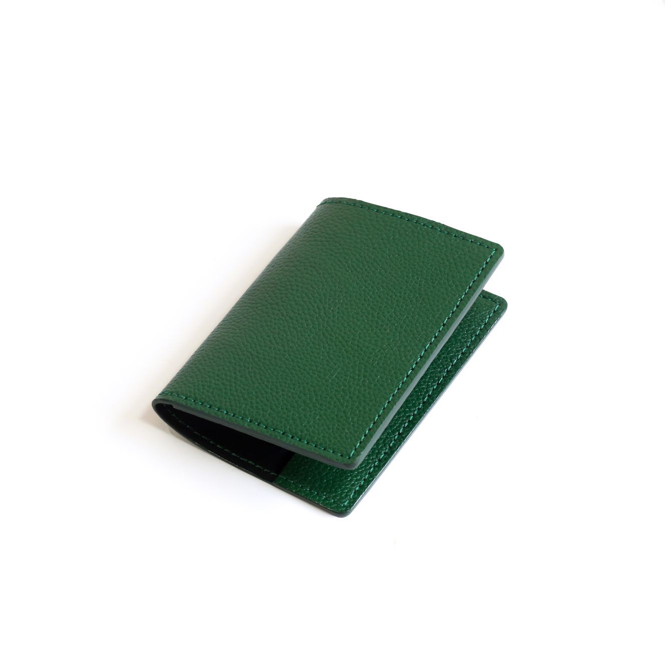 Passport P05 X161
