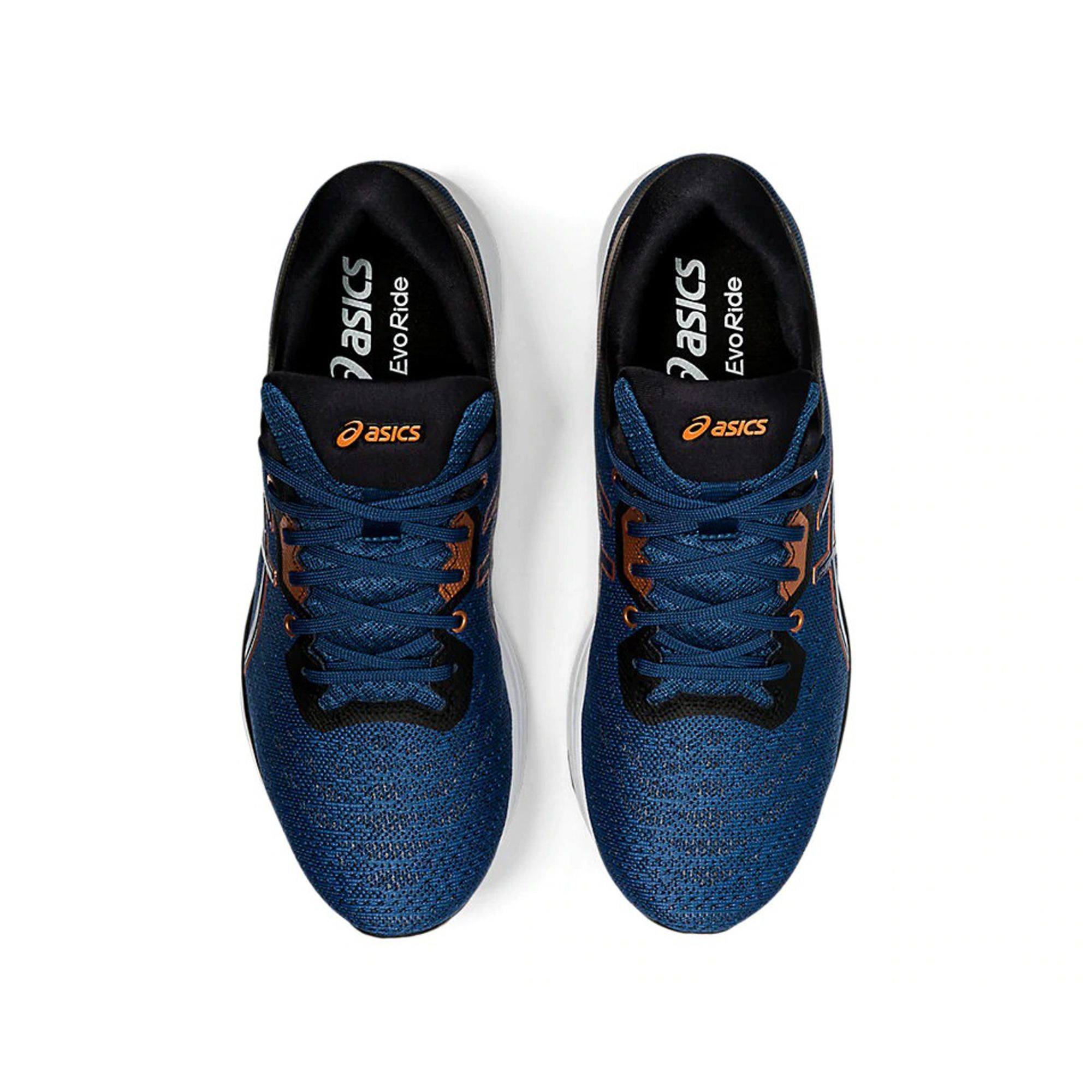 ASICS EvoRide 'Grand Shark/Pure Bronze'