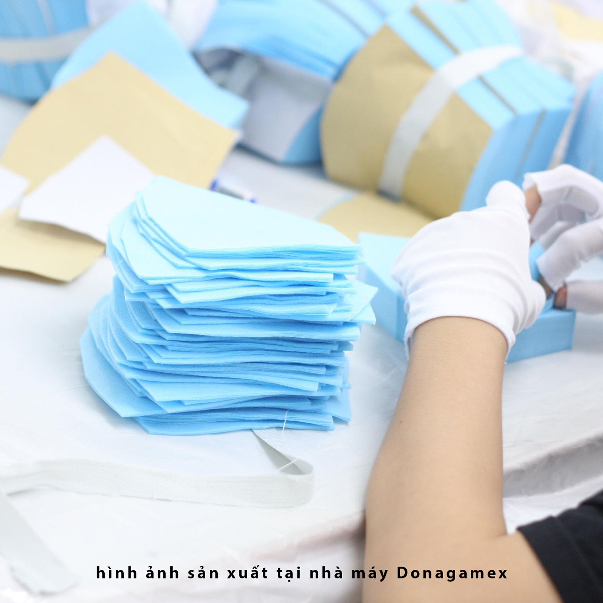 Khẩu trang Donagamex