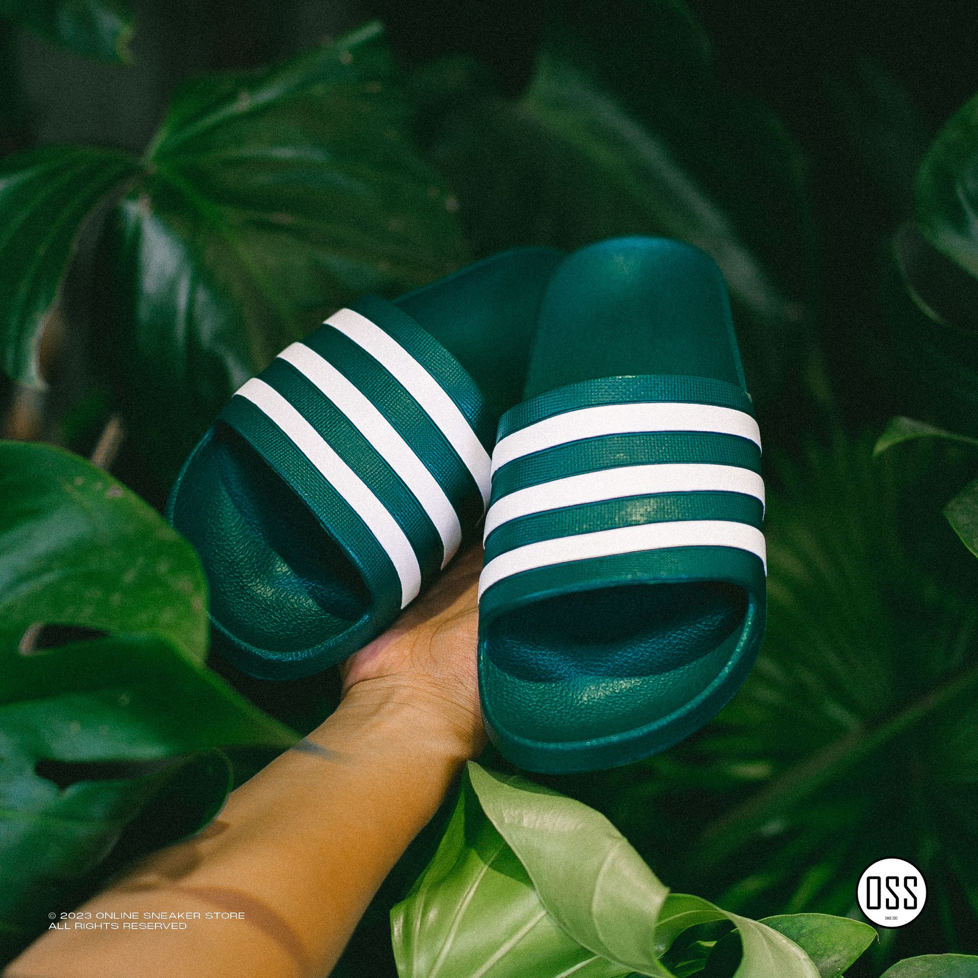 adidas Adilette Aqua - Legend Ivy