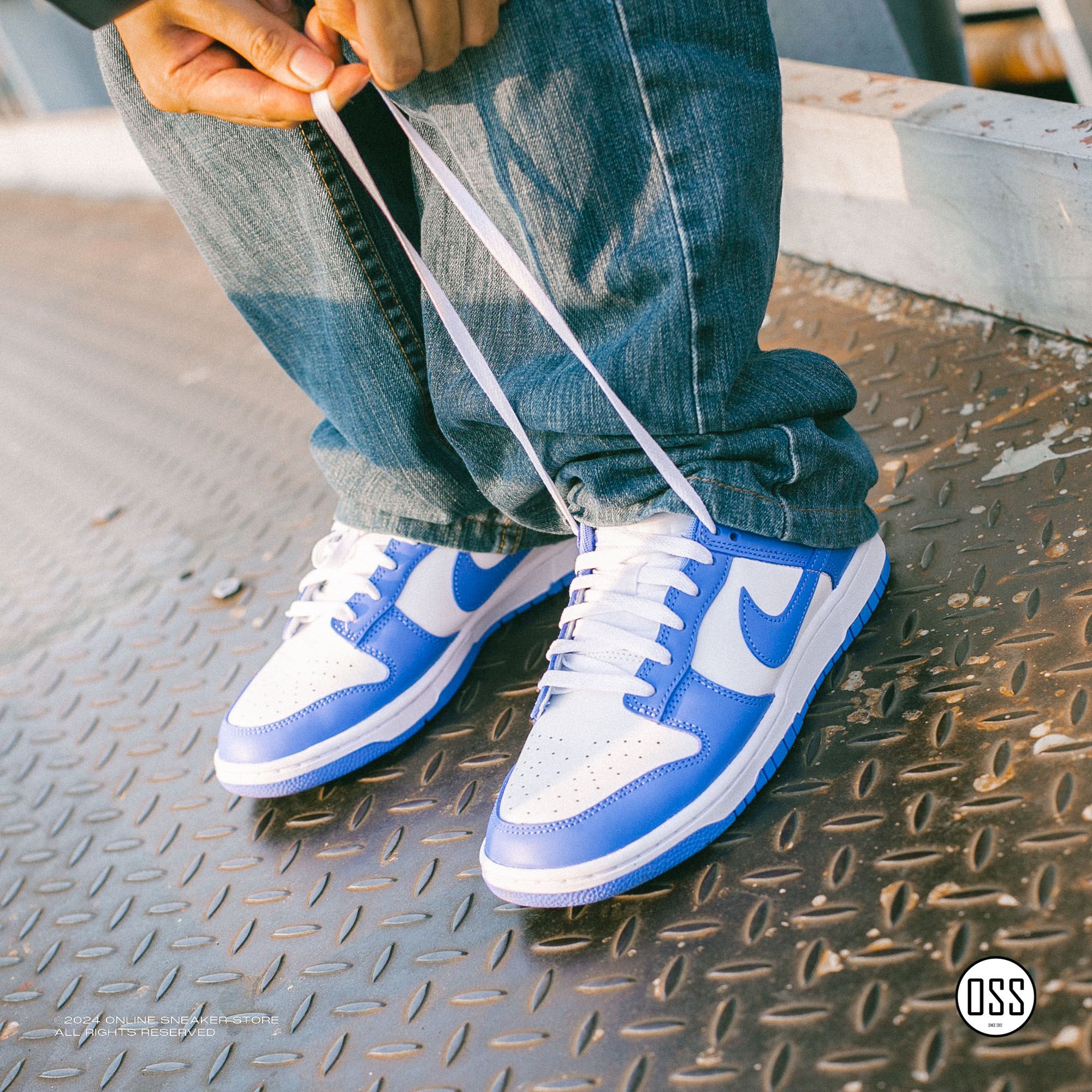 Nike Dunk Low Retro - White / Polar