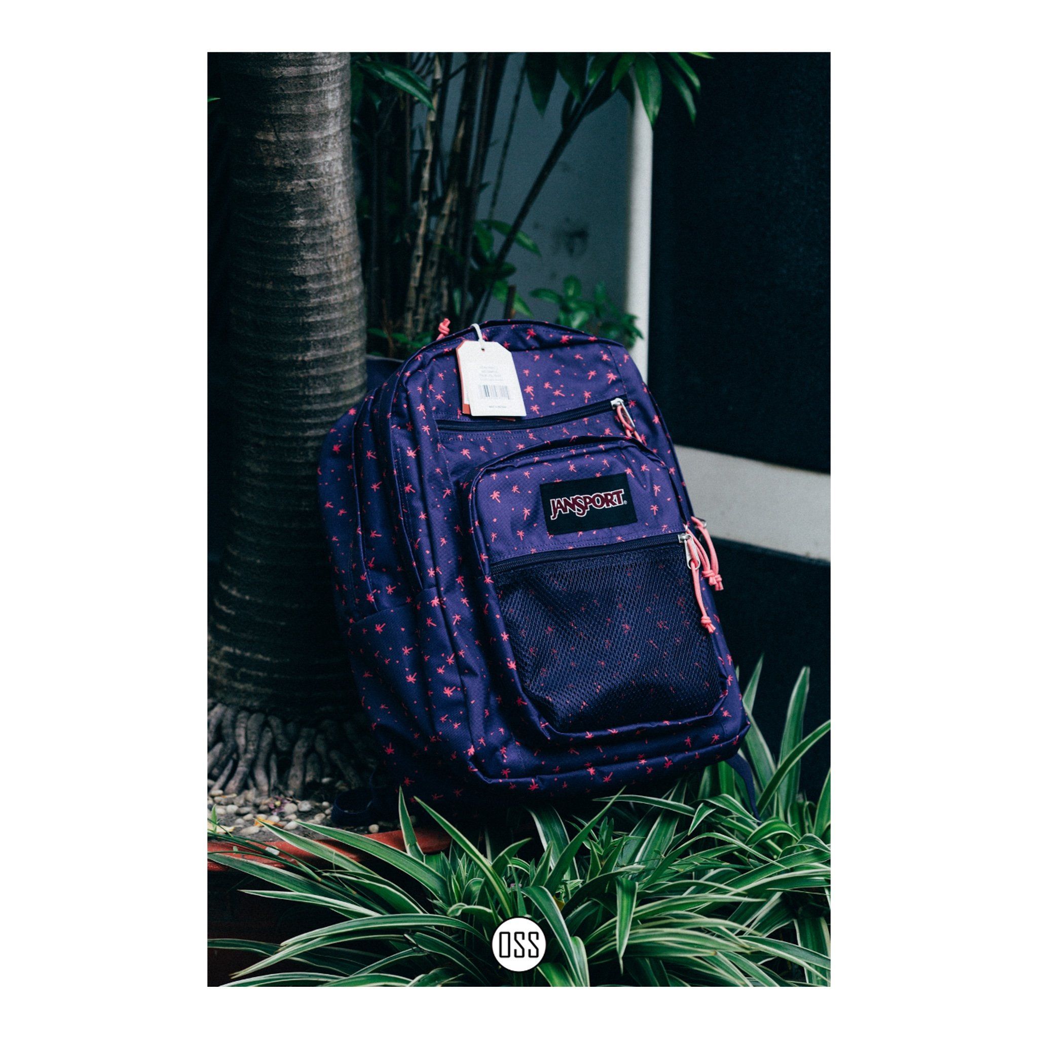 Jansport Big Campus Backpack 'Coconut'