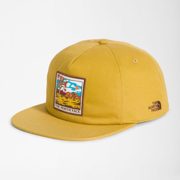  TNF™ Embroidered Earthscape Ball Cap 