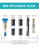 ATLAS - BIG F PRO - HYLAGCA PLUS