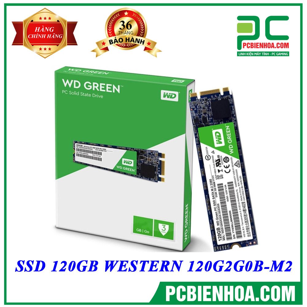 SSD 120GB WESTERN 120G2G0B-M2 chính hãng Minh Thông