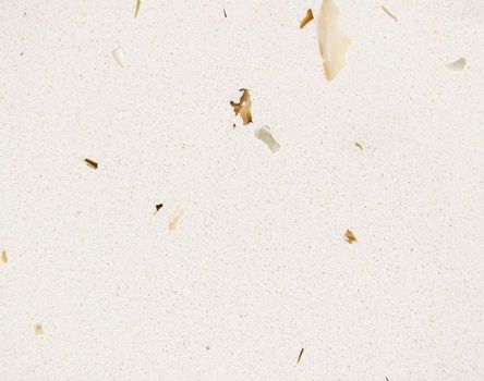 WHITE SHELLS BQ370