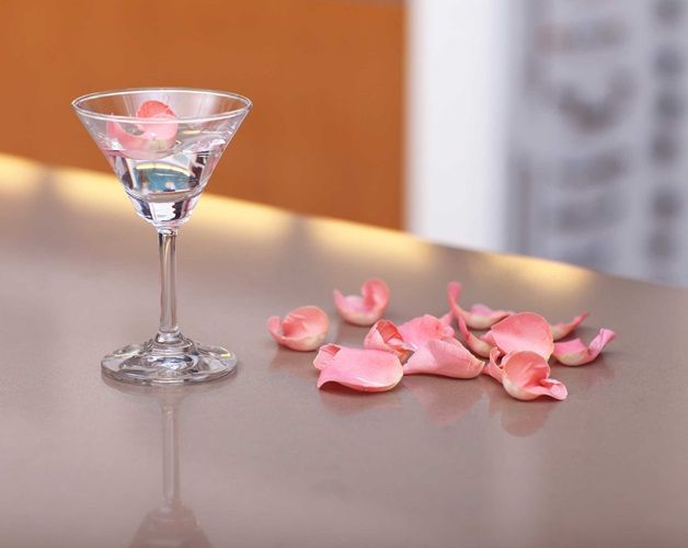 CAMELLIA BS4010
