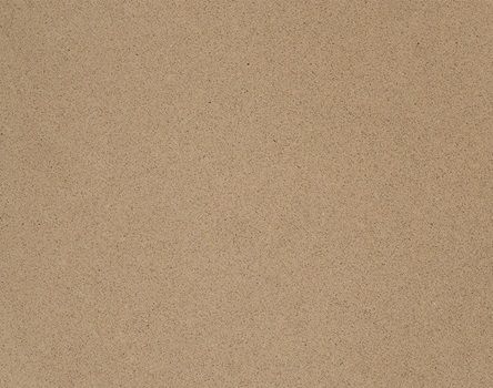 CAMELLIA BS4010