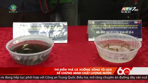 60 Giây Chiều HTV7 Ngày 16/09/2019 Thí điểm thả cá xuống sông tô lịch để chứng minh chất lượng nước