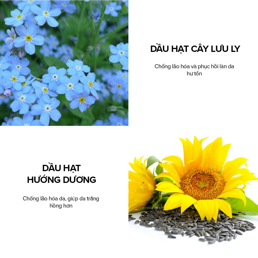 Dầu dưỡng ẩm ngăn ngừa lão hoá - Paula's Choice Moisture Renewal Oil Booster (20ml)