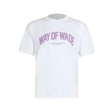 Áo T-shirt Nam Li-ning AHSU173-2V