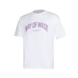 Áo T-shirt Nam Li-ning AHSU173-2V