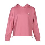 Áo nỉ Hoodie nữ AWDR360-7