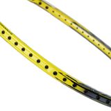 Vợt cầu lông chính hãng Li-Ning 3D CALIBAR 300 (4U) AYPT393-4