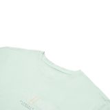Áo T-shirt Nam Li-ning ATSU417-4V