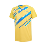 Áo T-shirt nam P-AAYV033 chơi cầu lông,Pickleball,tennis