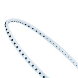 Vợt Cầu Lông Chính Hãng Li-ning AXFORCE 10 (4U & 5U) (Màu Trắng và Xanh)