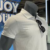 Áo Polo Nam APLU849-1V