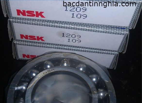 1209 NSK