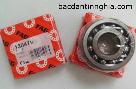 Bạc đạn vòng bi 1304 FAG 25*52*15 mm