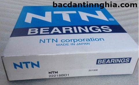 Bac dan 22218 NTN