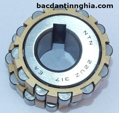 bac dan vong bi 22UZ317 NTN