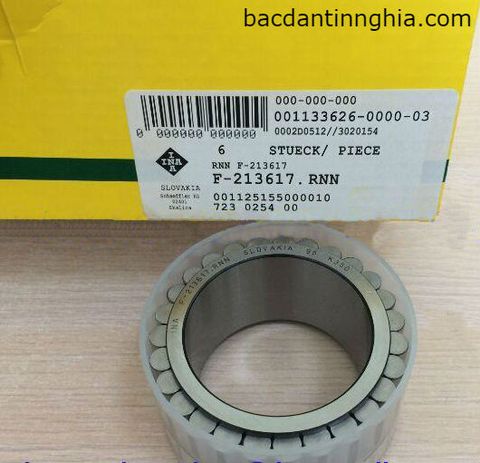 Bạc đạn vòng bi đũa F-213617.RNN INA. F-213617-RNN. 55 * 77.07 * 41mm