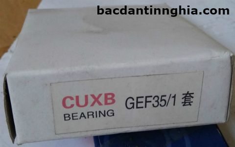 Bạc đạn vòng bi GEF35 CUXB