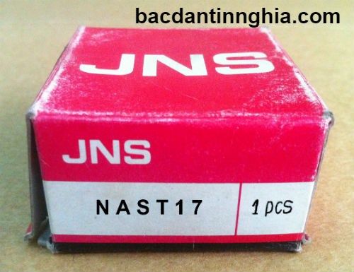 NAST17 JNS