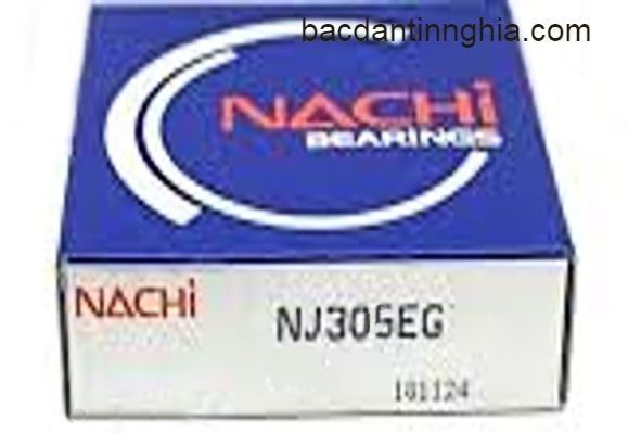 Cuscinetto A Rulli Cilindrici NACHI NJ305 (25x62x17) - Made In Japan - Gabbia In Acciaio