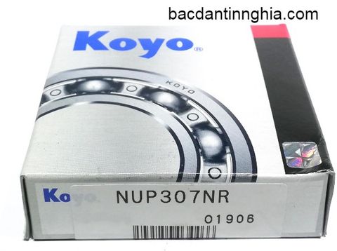 Bạc đạn vòng bi NUP307 KOYO 35x80x21 mm