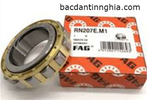 Vòng bị bạc đạn RN207 M FAG RN 207 M