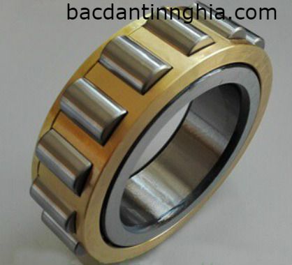 Vòng bị bạc đạn RN228 FAG