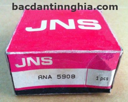 RNA5908 JNS
