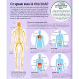 How the body works - Hiểu biết về cơ thể (Bìa cứng)
