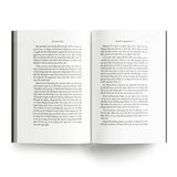 Combo 5 tiểu thuyết của Mario Puzo (Bìa mới, Khổ 16x24cm)