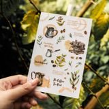 Sticker transfer trang trí tập sổ, vật dụng Gentle Coffee Diary