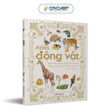 Combo 2 cuốn: Atlas động vật + Atlas các loài chim - Tặng 1 cuốn Vì sao? Như thế nào (Sinh thái hoặc Năng lượng)