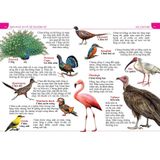 Bách khoa thư về thế giới động vật (Lựa chọn bìa)