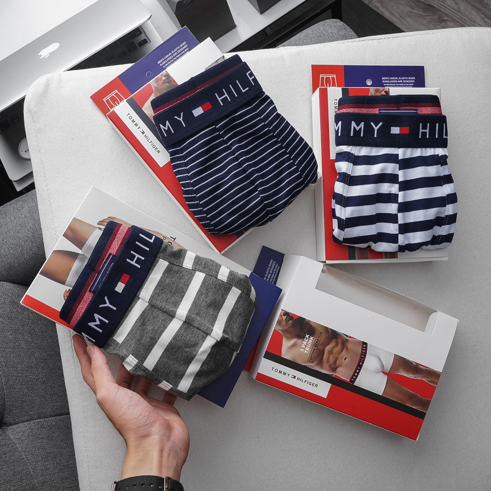 Boxer Tommy /4M/ BTM3