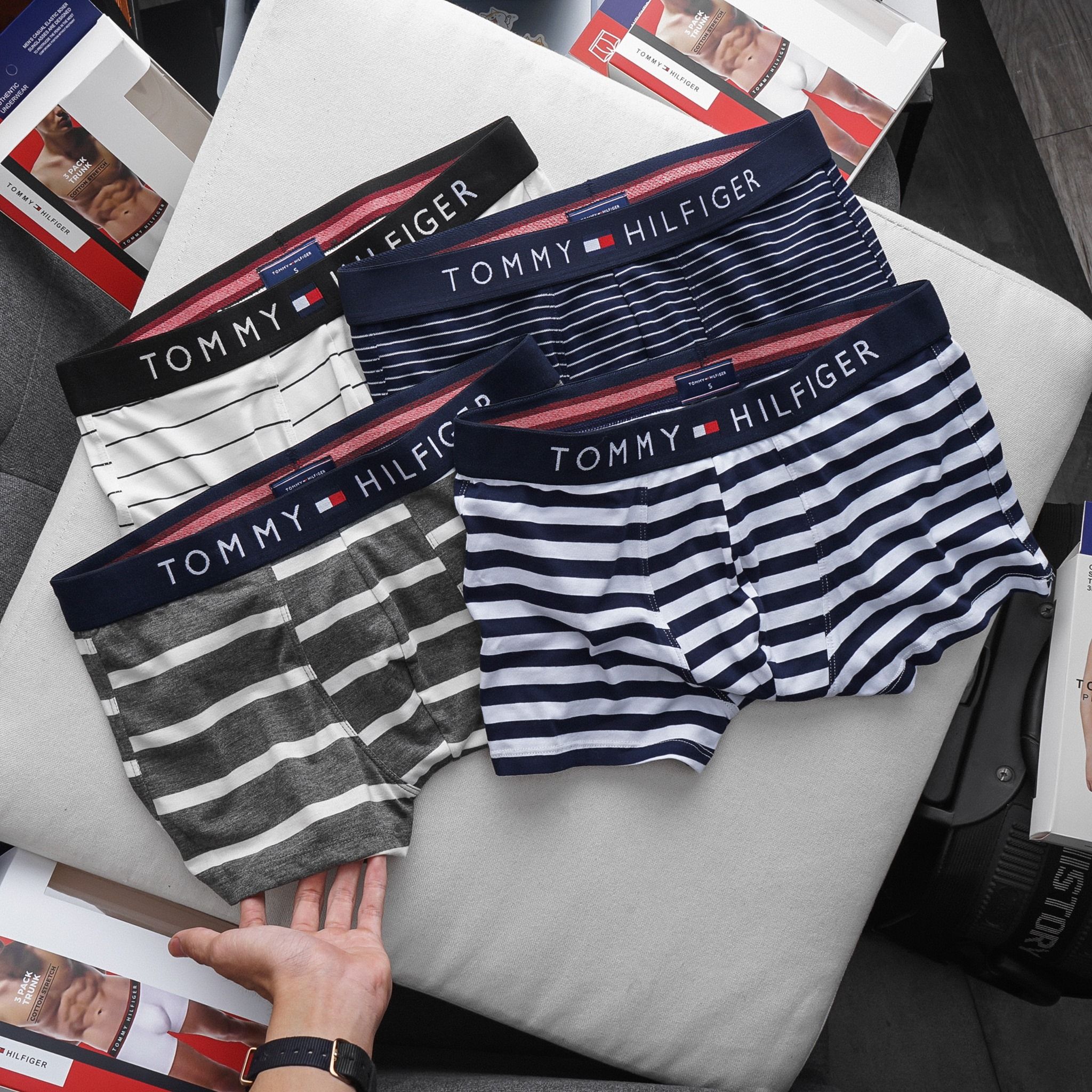 Boxer Tommy /4M/ BTM3