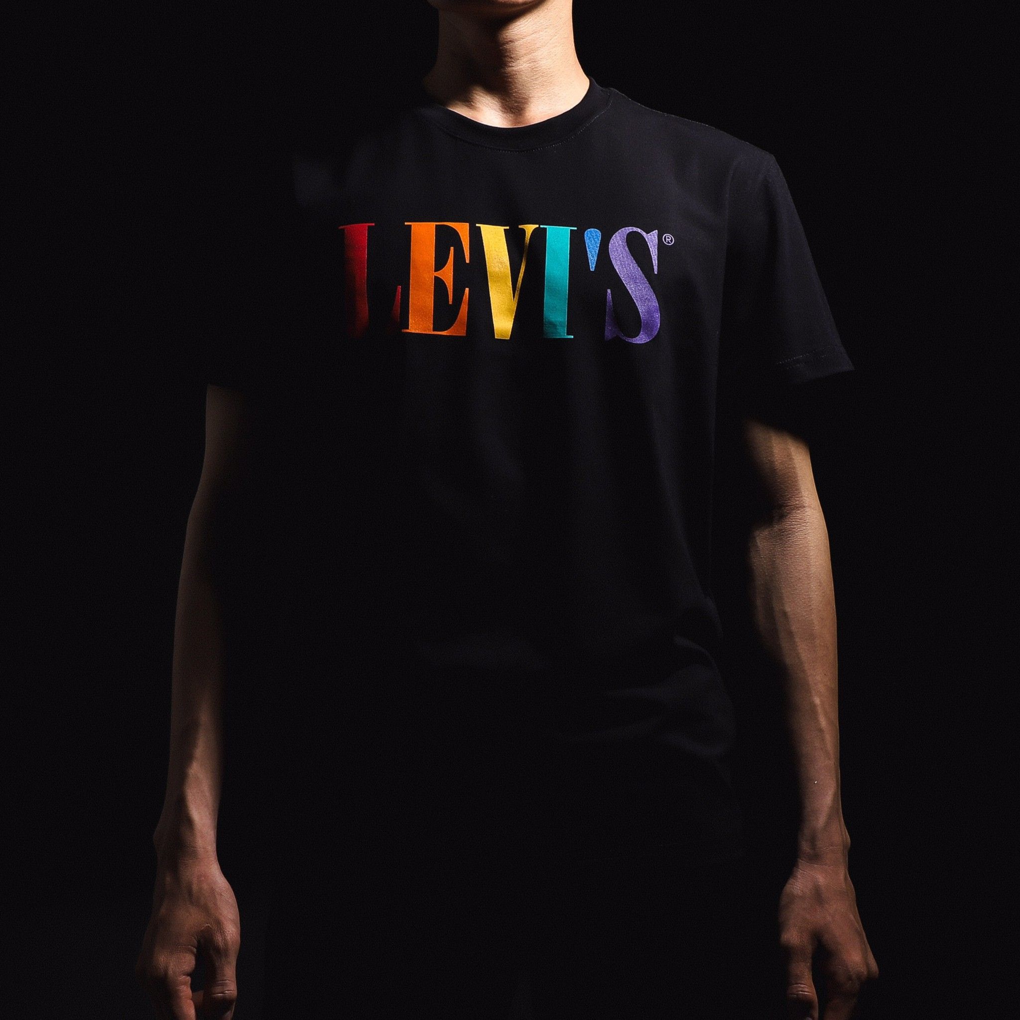 Áo Thun LEVIS / 2M / LVCT5