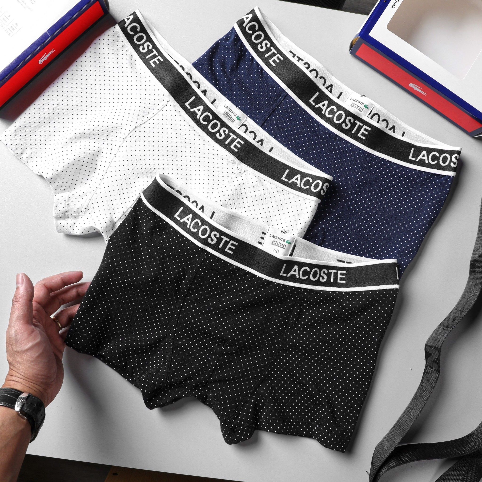 Boxer LCST / 1M/ BLC2