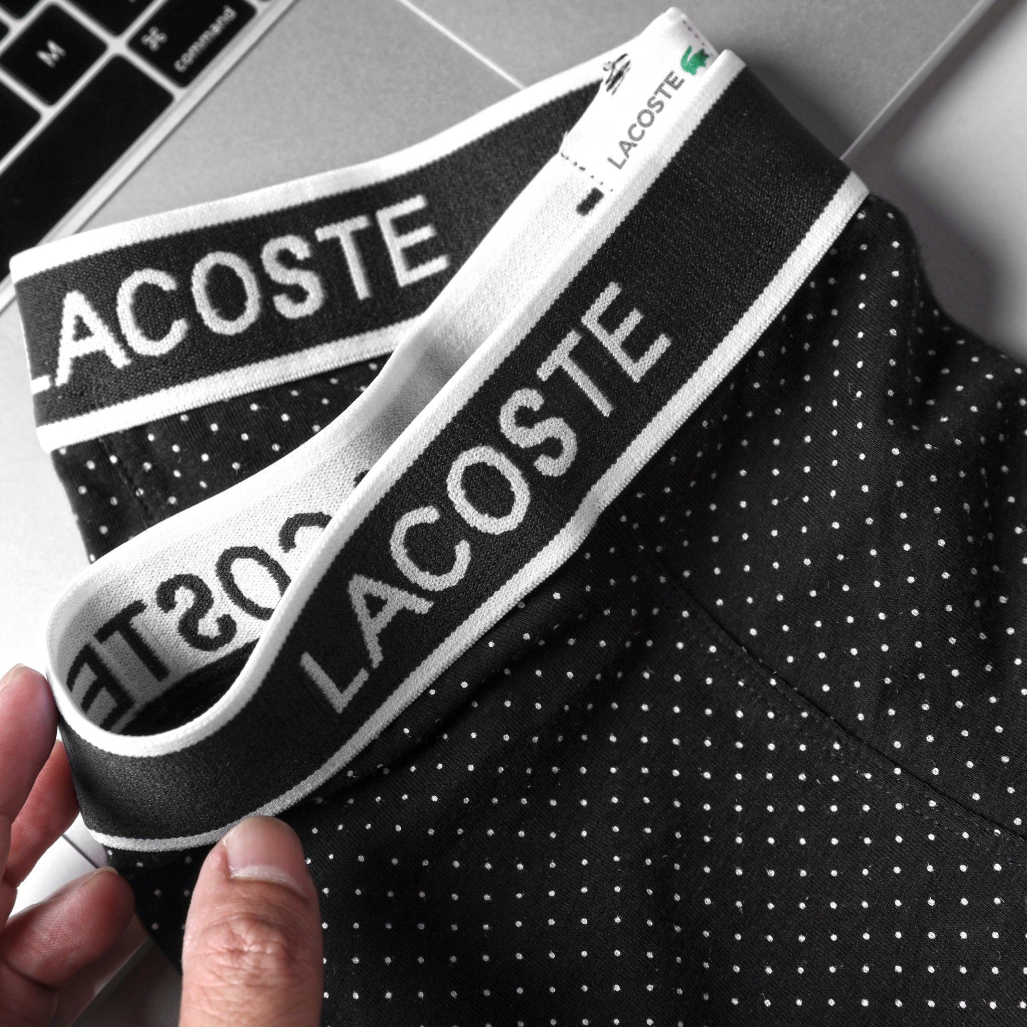 Boxer LCST / 1M/ BLC2